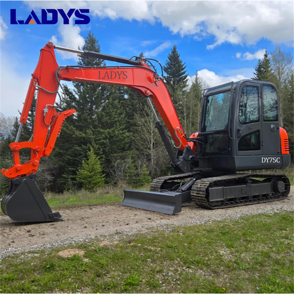 LADYS DY75C Small Excavator Euro 5/Epa Yanmar Engine Small Excavator Crawler Excavator For Sale - Гусеничний екскаватор: фото 2 LADYS DY75C Small Excavator Euro 5/Epa Yanmar Engine Small Excavator Crawler Excavator For Sale - Гусеничний екскаватор: фото 2