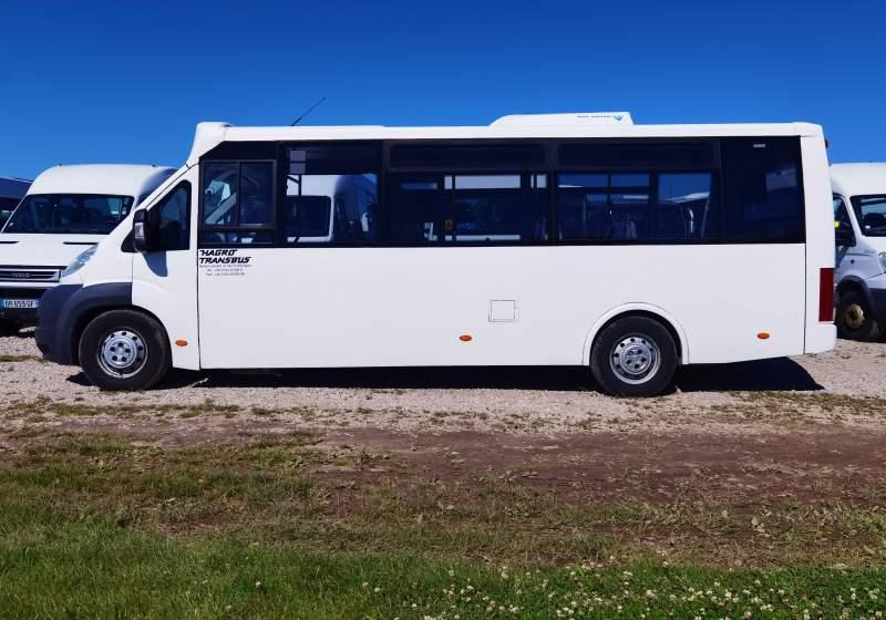 Fiat Ducato miejski, przewóz osób niepełnosprawnych - Міський автобус: фото 5 Fiat Ducato miejski, przewóz osób niepełnosprawnych - Міський автобус: фото 5
