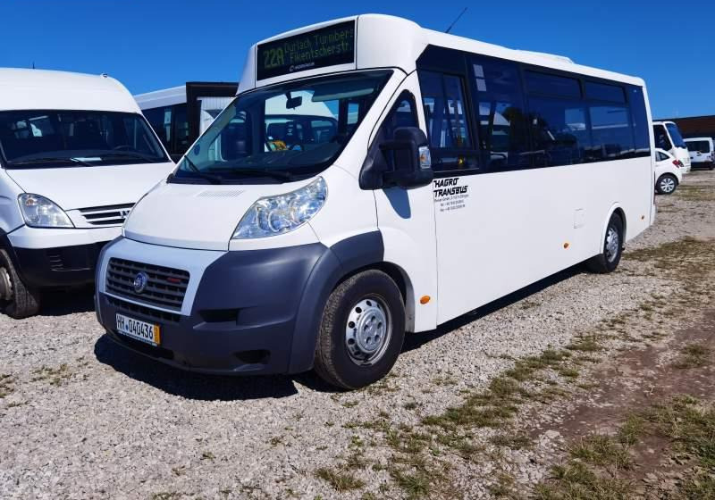 Fiat Ducato miejski, przewóz osób niepełnosprawnych - Мікроавтобус, Пасажирський фургон: фото 1 Fiat Ducato miejski, przewóz osób niepełnosprawnych - Мікроавтобус, Пасажирський фургон: фото 1