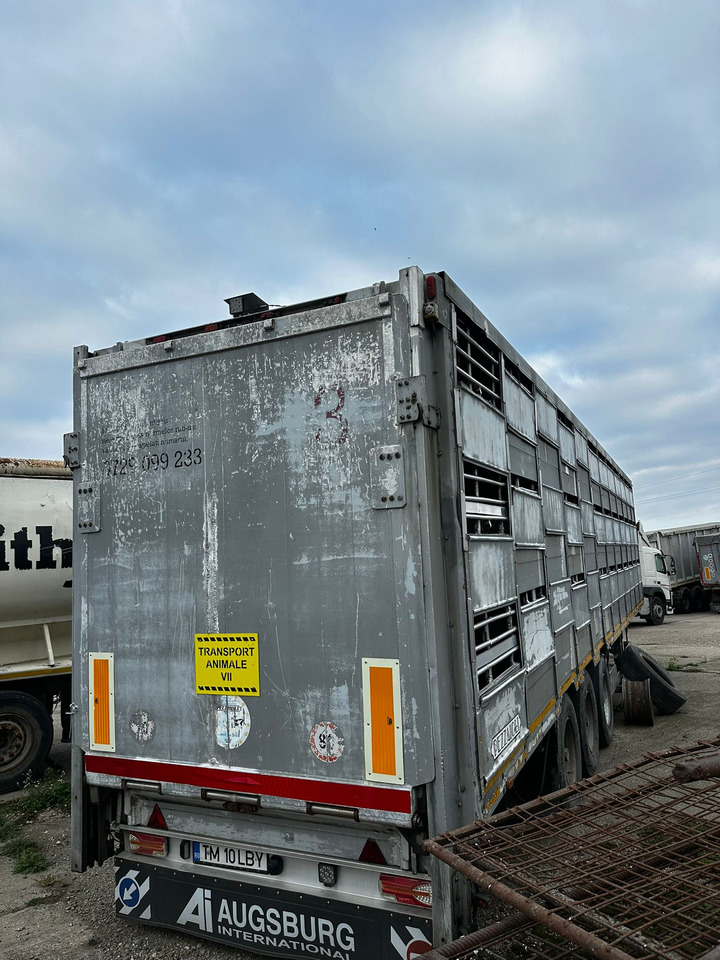 PEZZAIOLLI Animal Transport Semi-trailer - Для перевезення худоби напівпричіп: фото 3 PEZZAIOLLI Animal Transport Semi-trailer - Для перевезення худоби напівпричіп: фото 3