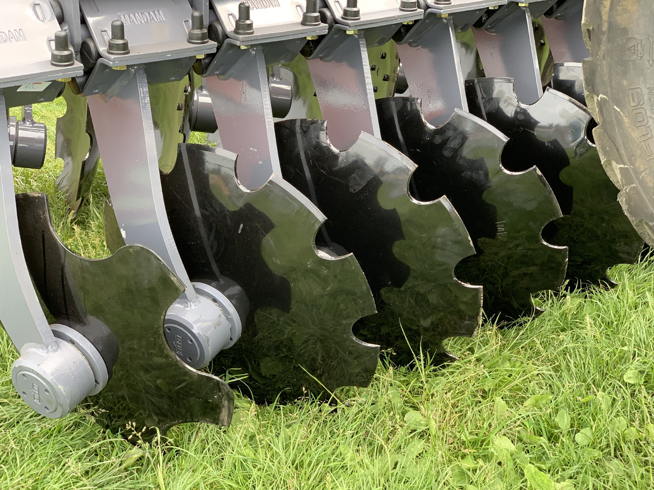 MANDAM Déchaumeur à disques GAL-TAL - Дисковий культиватор: фото 2 MANDAM Déchaumeur à disques GAL-TAL - Дисковий культиватор: фото 2