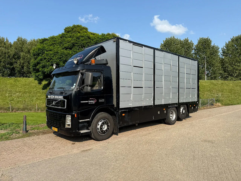 Volvo FM 300 Livestock Cuppers 3 laags 6x2 - Для перевезення худоби вантажівка: фото 3 Volvo FM 300 Livestock Cuppers 3 laags 6x2 - Для перевезення худоби вантажівка: фото 3