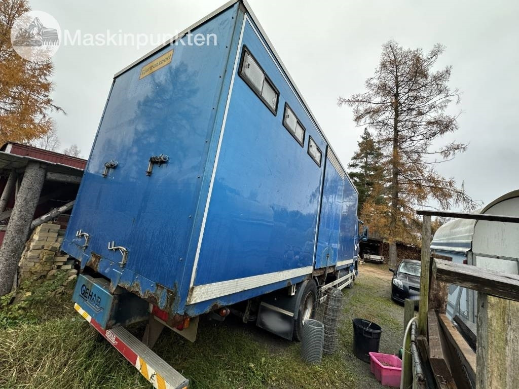 Volvo FH 12 - Для перевезення худоби вантажівка: фото 4 Volvo FH 12 - Для перевезення худоби вантажівка: фото 4