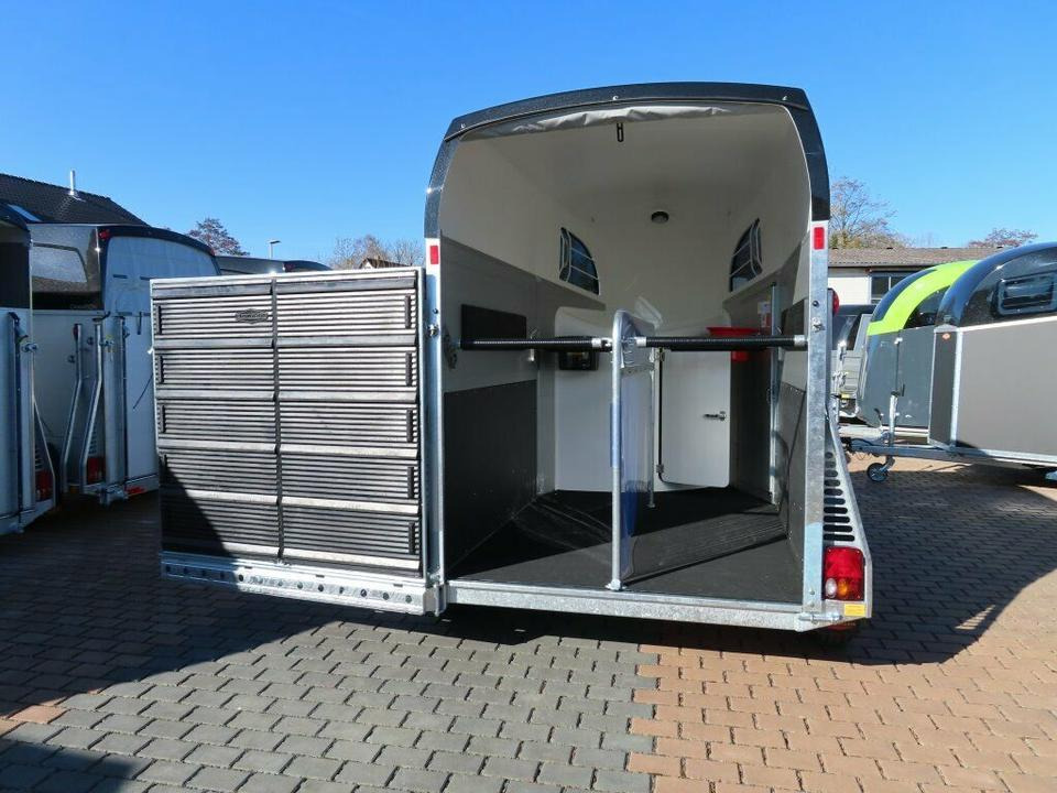 Böckmann, Pferdeanhänger, der neue Big Champion WCF 2025 - Причіп коневоз: фото 4 Böckmann, Pferdeanhänger, der neue Big Champion WCF 2025 - Причіп коневоз: фото 4