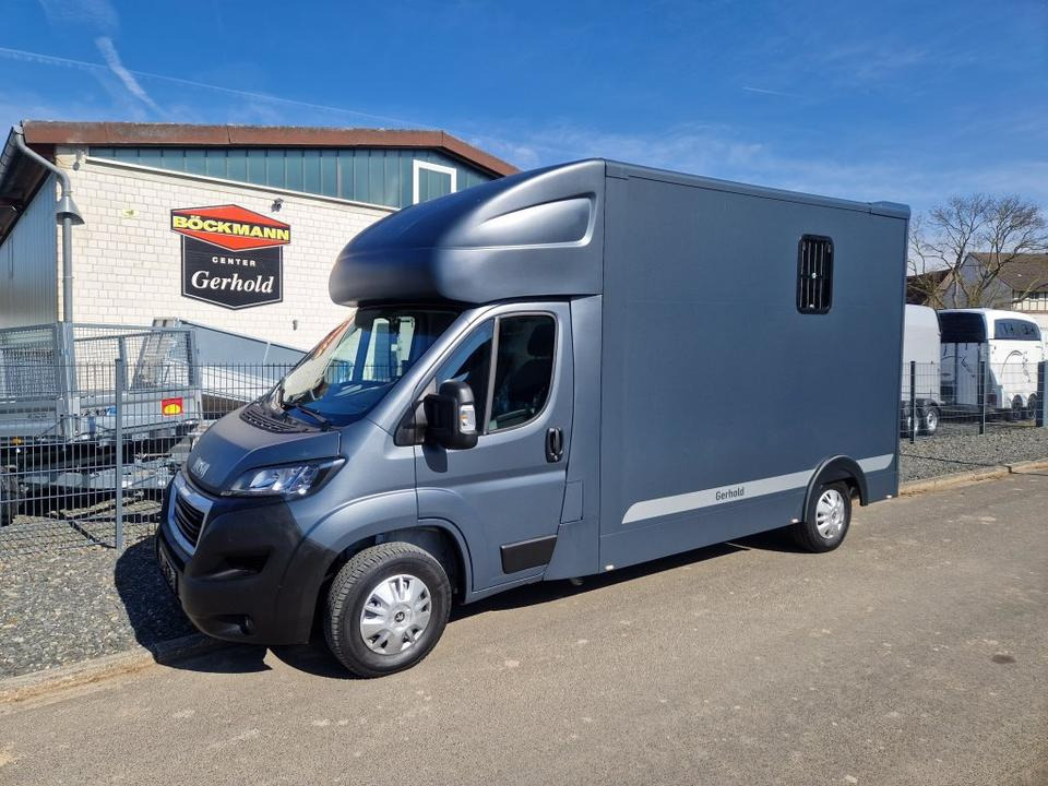 MSG Stablehopper Pferdetransporter Pferdeanhänger Böckmann - Коневоз: фото 2 MSG Stablehopper Pferdetransporter Pferdeanhänger Böckmann - Коневоз: фото 2