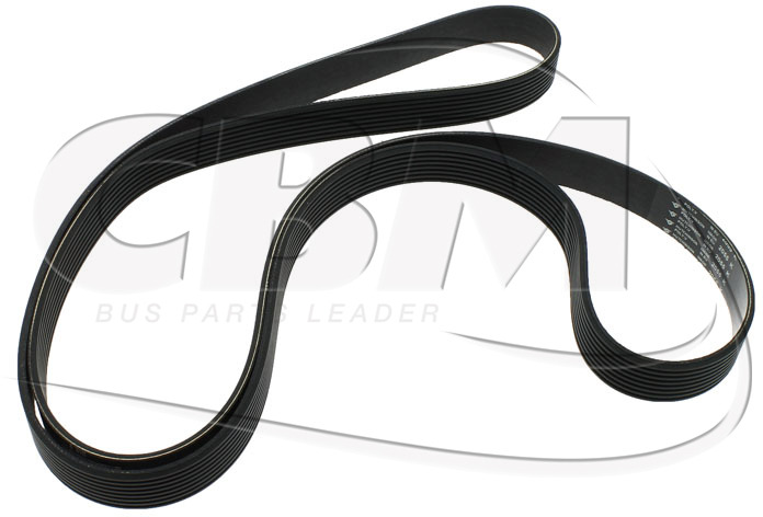 IVECO BELT - VOLVO MERCEDES IRIZAR (3987498 | A6061800009 | 592295) - Ремінь в категорії Автобуси: фото 1 IVECO BELT - VOLVO MERCEDES IRIZAR (3987498 | A6061800009 | 592295) - Ремінь в категорії Автобуси: фото 1