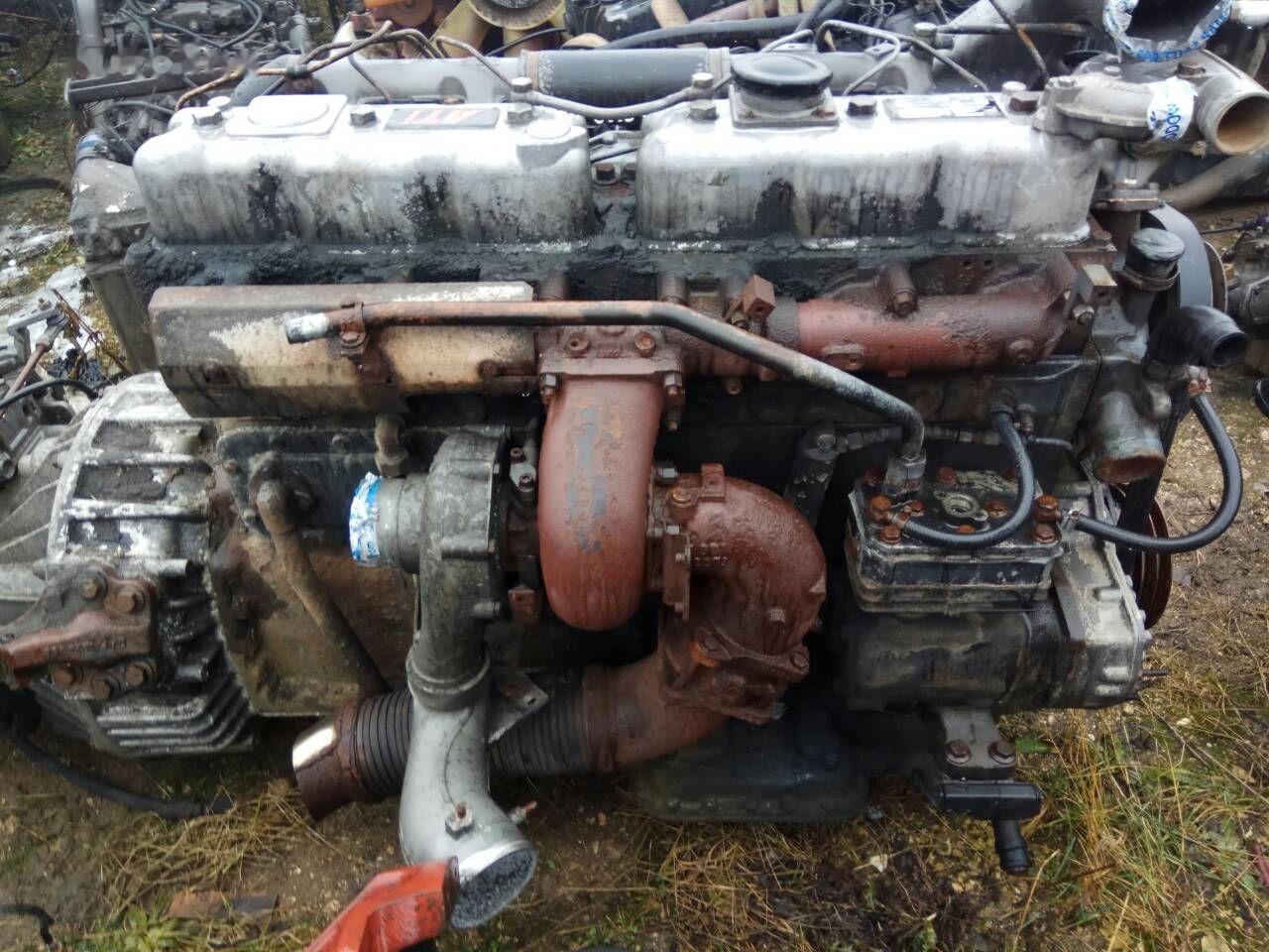 DAF ATI WS268 DAF ATI DAF 85 95 - Двигун в категорії Вантажівки: фото 2 DAF ATI WS268 DAF ATI DAF 85 95 - Двигун в категорії Вантажівки: фото 2