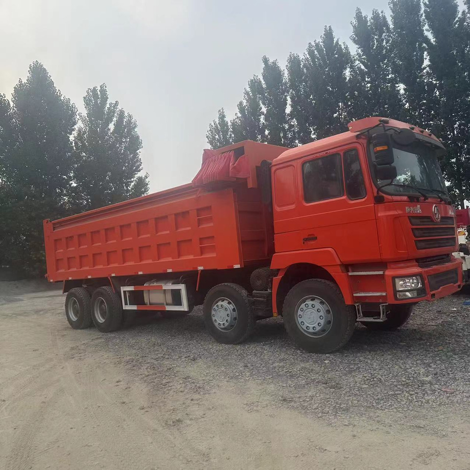 SHACMAN F3000 Dump Truck With Tarpaulins Click Here for Discount - Самоскид вантажівка: фото 2 SHACMAN F3000 Dump Truck With Tarpaulins Click Here for Discount - Самоскид вантажівка: фото 2