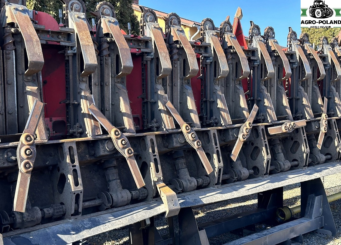 OLIMAC DRAGO 2 - S 8 TR - 8X70 - 2017 ROK - Жниварка для кукурудзи: фото 4 OLIMAC DRAGO 2 - S 8 TR - 8X70 - 2017 ROK - Жниварка для кукурудзи: фото 4