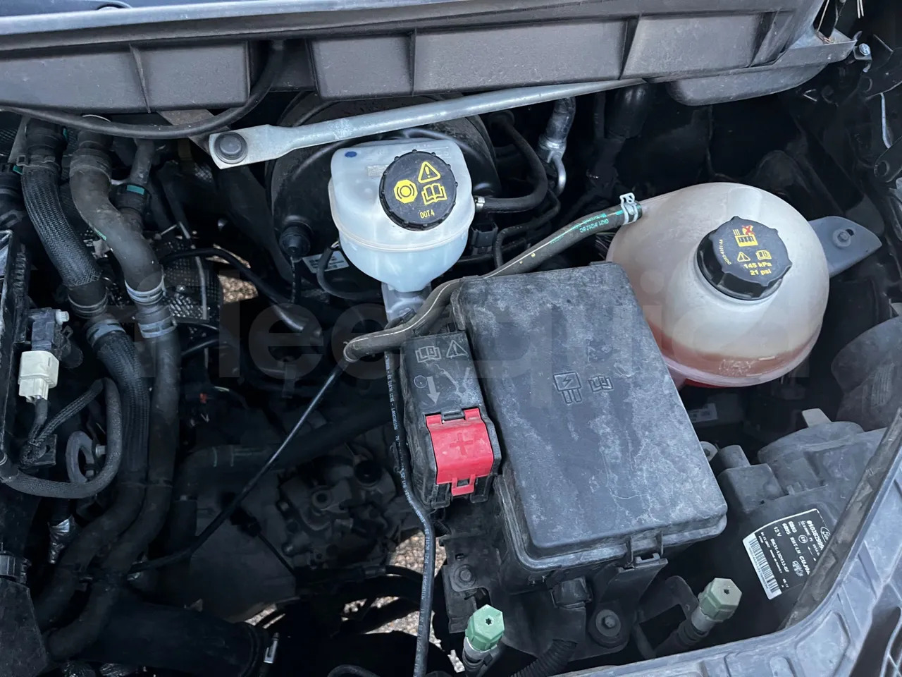 Мікроавтобус, Пасажирський фургон Ford Transit: фото 24 Мікроавтобус, Пасажирський фургон Ford Transit: фото 24