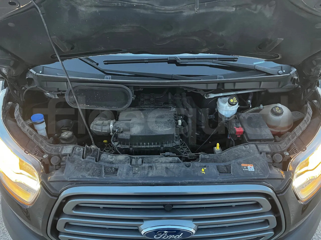 Мікроавтобус, Пасажирський фургон Ford Transit: фото 21 Мікроавтобус, Пасажирський фургон Ford Transit: фото 21