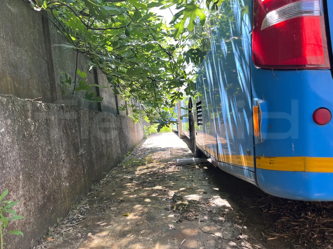 Mercedes-Benz Citaro G - Міський автобус: фото 4 Mercedes-Benz Citaro G - Міський автобус: фото 4