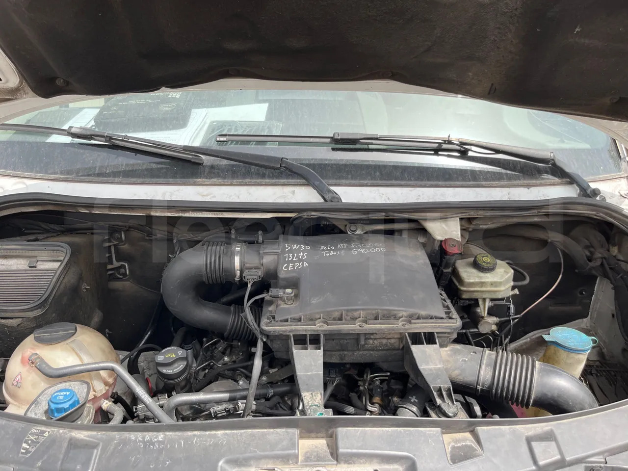 Туристичний автобус Mercedes-Benz Sprinter: фото 16 Туристичний автобус Mercedes-Benz Sprinter: фото 16