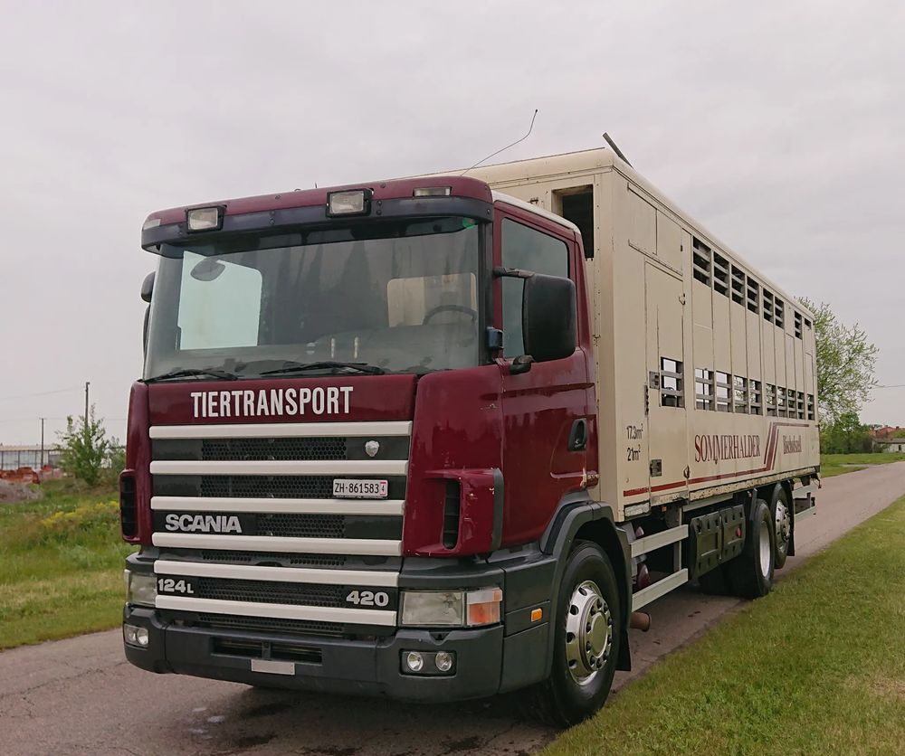 Scania 124 420 Do żywca - Для перевезення худоби вантажівка: фото 4 Scania 124 420 Do żywca - Для перевезення худоби вантажівка: фото 4