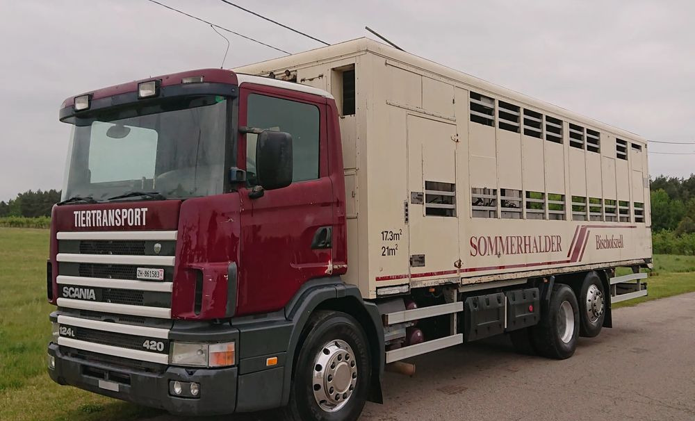 Scania 124 420 Do żywca - Для перевезення худоби вантажівка: фото 1 Scania 124 420 Do żywca - Для перевезення худоби вантажівка: фото 1