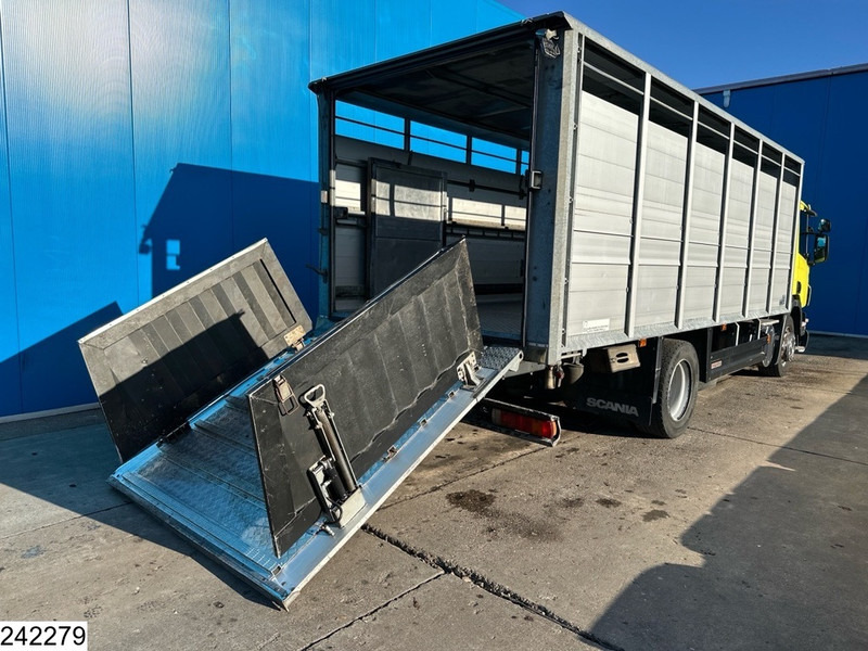 Scania P 320 EURO 5, Manual transmission, Retarder - Для перевезення худоби вантажівка: фото 4 Scania P 320 EURO 5, Manual transmission, Retarder - Для перевезення худоби вантажівка: фото 4