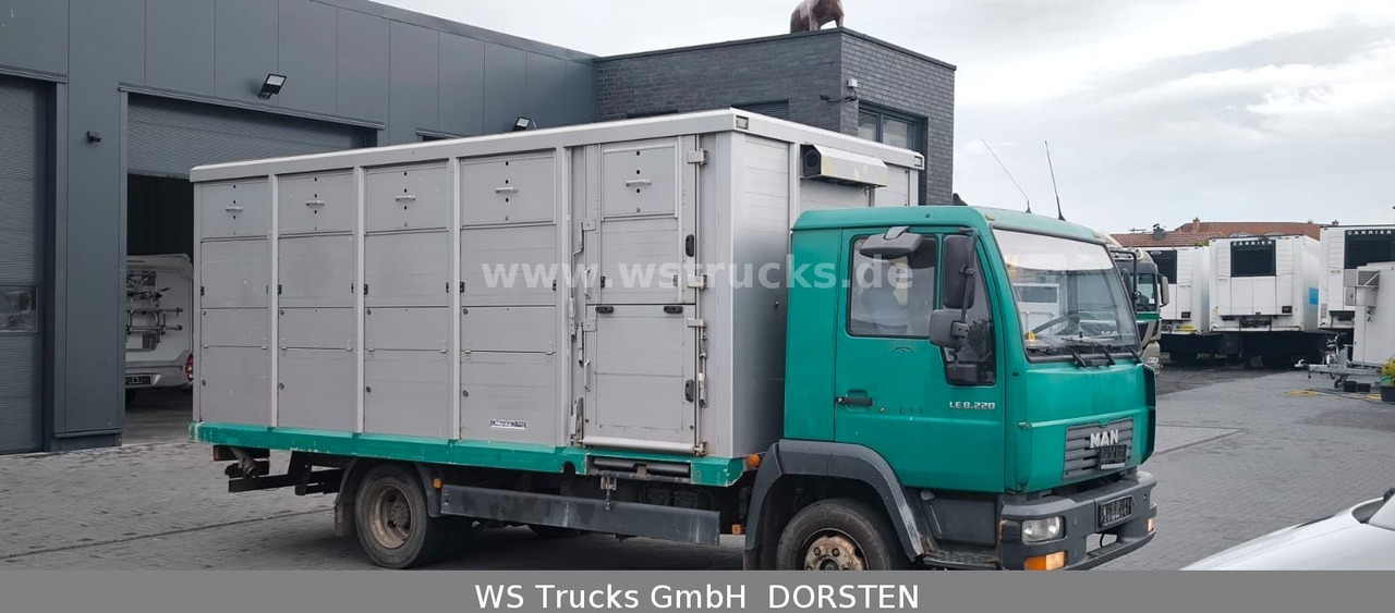 MAN LE 8.220 Menke Einstock Großvieh - Для перевезення худоби вантажівка: фото 2 MAN LE 8.220 Menke Einstock Großvieh - Для перевезення худоби вантажівка: фото 2