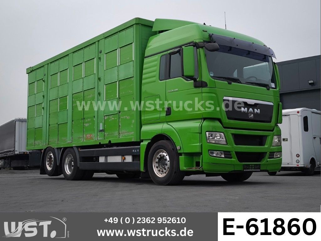 MAN TGX 26.480 XL KABA 3 Stock Vollalu - Коневоз: фото 1 MAN TGX 26.480 XL KABA 3 Stock Vollalu - Коневоз: фото 1