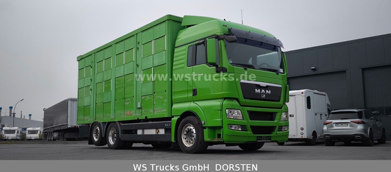MAN TGX 26.480 XL KABA 3 Stock Vollalu - Коневоз: фото 4 MAN TGX 26.480 XL KABA 3 Stock Vollalu - Коневоз: фото 4