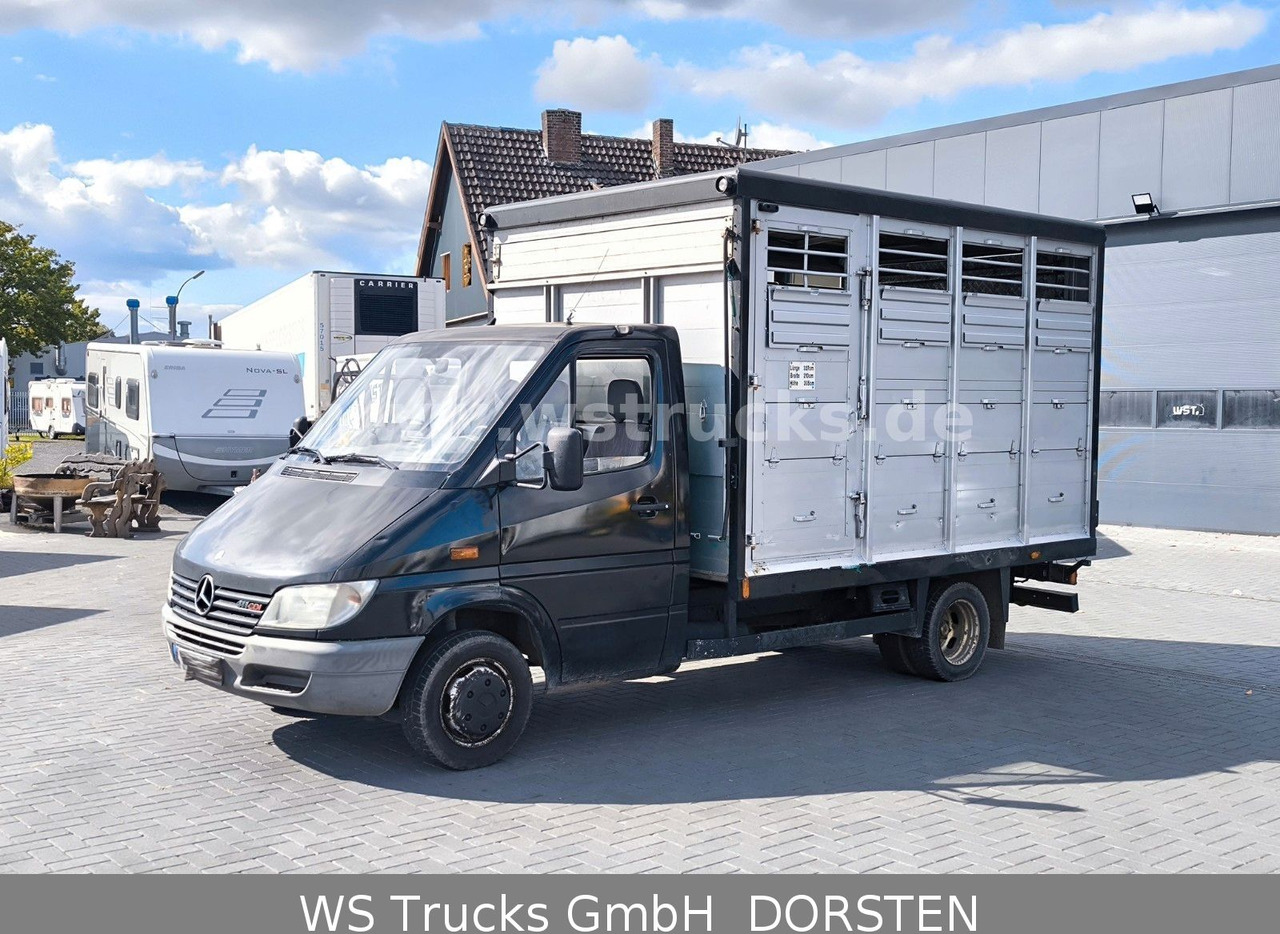 Mercedes-Benz Sprinter 411 CDI Viehtransporter - Для перевезення худоби вантажівка: фото 1 Mercedes-Benz Sprinter 411 CDI Viehtransporter - Для перевезення худоби вантажівка: фото 1