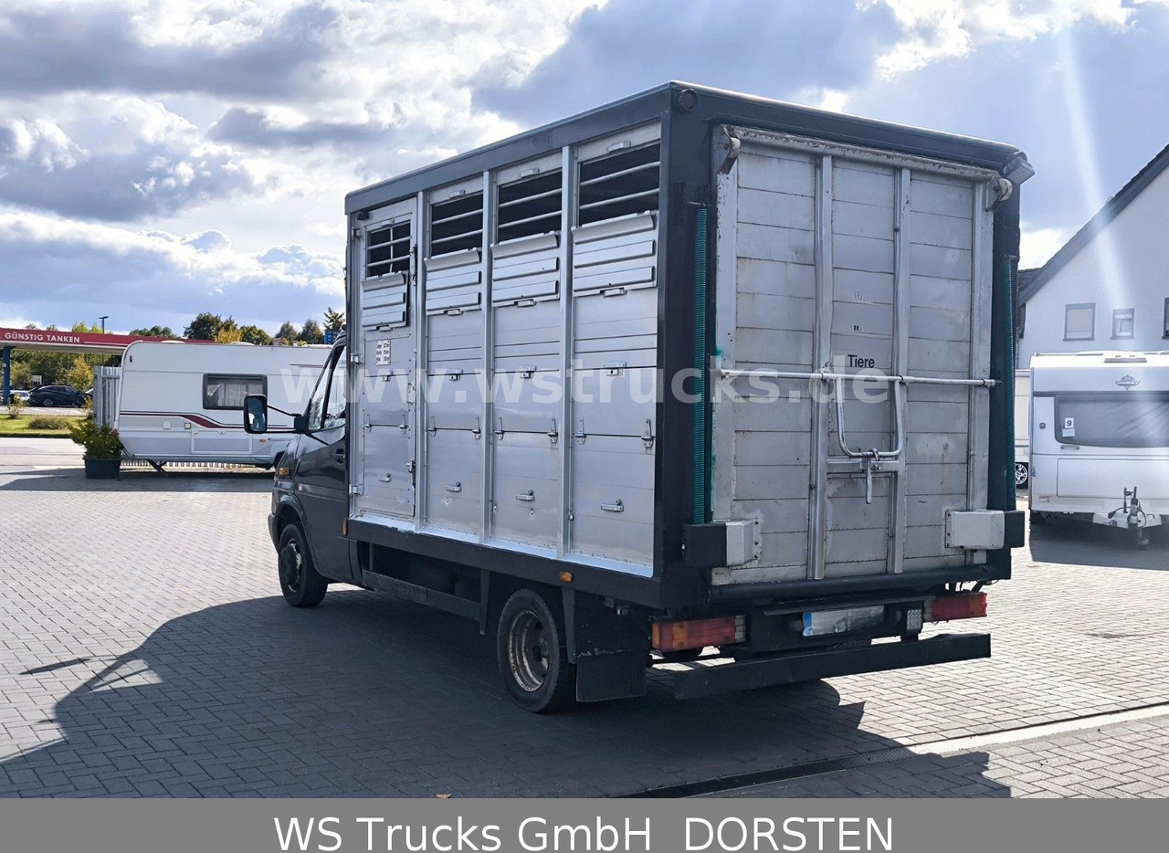 Mercedes-Benz Sprinter 411 CDI Viehtransporter - Для перевезення худоби вантажівка: фото 4 Mercedes-Benz Sprinter 411 CDI Viehtransporter - Для перевезення худоби вантажівка: фото 4
