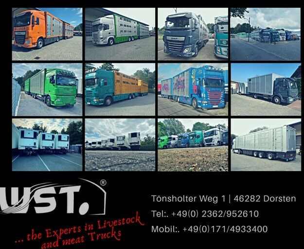 Закритий кузов напівпричіп Schmitz Cargobull SKO 24 Kühlauflieger | Rohrbahn Vector 1850Mt: фото 21