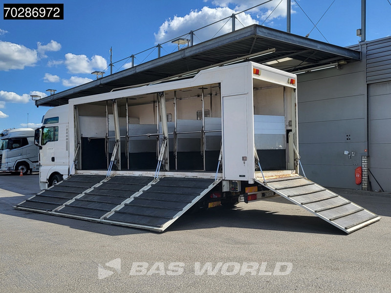 MAN TGX 26.480 TGX 6X2 NL-Truck BDF HorseTransport Lift+steering axle Standklima Automatic Xenon Alcoa´s Euro 5 - Контейнеровоз/ Змінний кузов вантажівка: фото 2 MAN TGX 26.480 TGX 6X2 NL-Truck BDF HorseTransport Lift+steering axle Standklima Automatic Xenon Alcoa´s Euro 5 - Контейнеровоз/ Змінний кузов вантажівка: фото 2