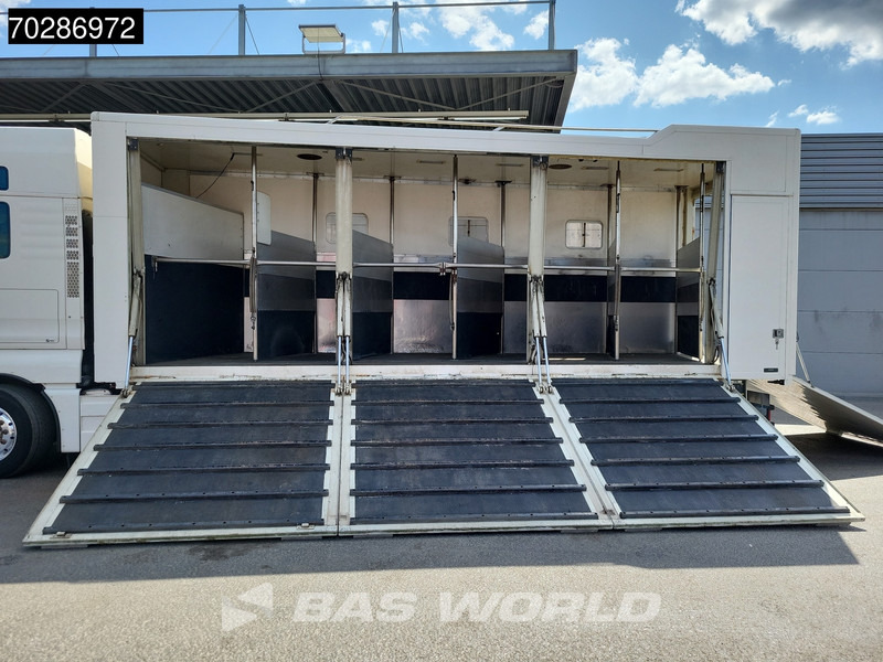 MAN TGX 26.480 TGX 6X2 NL-Truck BDF HorseTransport Lift+steering axle Standklima Automatic Xenon Alcoa´s Euro 5 - Контейнеровоз/ Змінний кузов вантажівка: фото 3 MAN TGX 26.480 TGX 6X2 NL-Truck BDF HorseTransport Lift+steering axle Standklima Automatic Xenon Alcoa´s Euro 5 - Контейнеровоз/ Змінний кузов вантажівка: фото 3