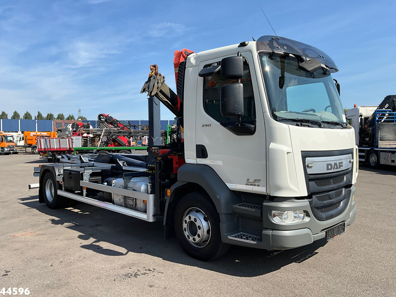 DAF FA LF 250 Euro 6 Palfinger 6,5 Tonmeter laadkraan - Гаковий мультиліфт вантажівка, Вантажівка з маніпулятором: фото 3 DAF FA LF 250 Euro 6 Palfinger 6,5 Tonmeter laadkraan - Гаковий мультиліфт вантажівка, Вантажівка з маніпулятором: фото 3