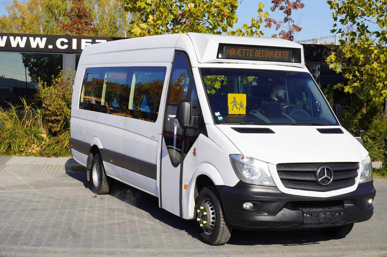 Mercedes-Benz Sprinter 516 CDI / School bus / 23 seats / automatic - Шкільний автобус: фото 2 Mercedes-Benz Sprinter 516 CDI / School bus / 23 seats / automatic - Шкільний автобус: фото 2