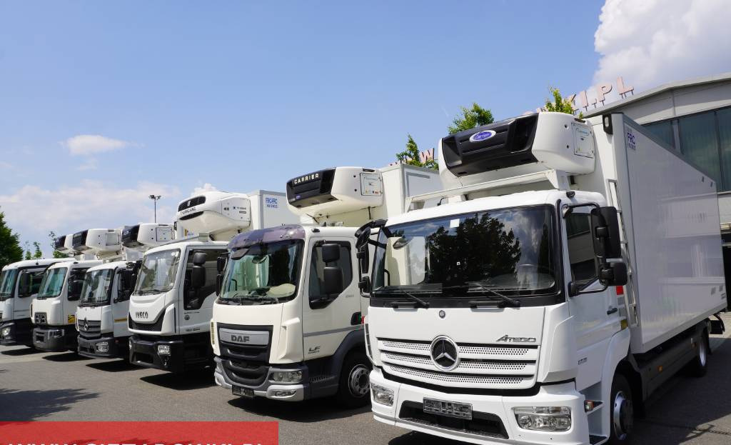 Рефрижератор вантажівка RENAULT D19 285 HP E6 Cold storage/ ATP/FNA / 22 Pallets / BITEMPERATURE: фото 24