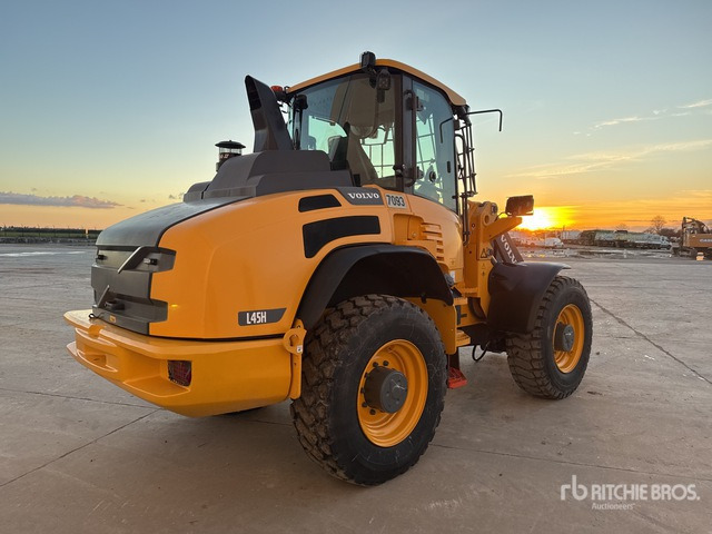 2017 Volvo L45H Chargeuse Sur Pneus Wheel Loader - Колісний навантажувач: фото 3 2017 Volvo L45H Chargeuse Sur Pneus Wheel Loader - Колісний навантажувач: фото 3