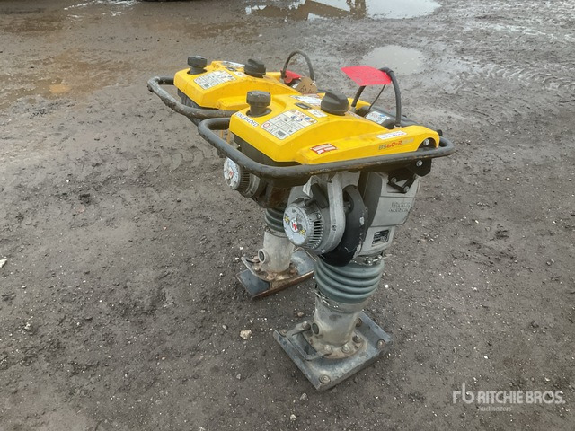 2020 Wacker Neuson BS50-2plus Jumping Jack Tamper Jumping Jack Tamper - Трамбувальник: фото 4 2020 Wacker Neuson BS50-2plus Jumping Jack Tamper Jumping Jack Tamper - Трамбувальник: фото 4
