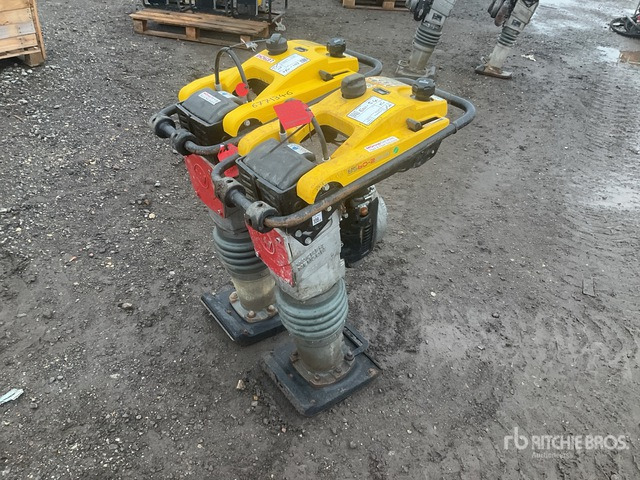 2020 Wacker Neuson BS50-2plus Jumping Jack Tamper Jumping Jack Tamper - Трамбувальник: фото 1 2020 Wacker Neuson BS50-2plus Jumping Jack Tamper Jumping Jack Tamper - Трамбувальник: фото 1