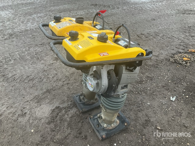 2020 Wacker Neuson BS50-2plus Jumping Jack Tamper Jumping Jack Tamper - Трамбувальник: фото 4 2020 Wacker Neuson BS50-2plus Jumping Jack Tamper Jumping Jack Tamper - Трамбувальник: фото 4