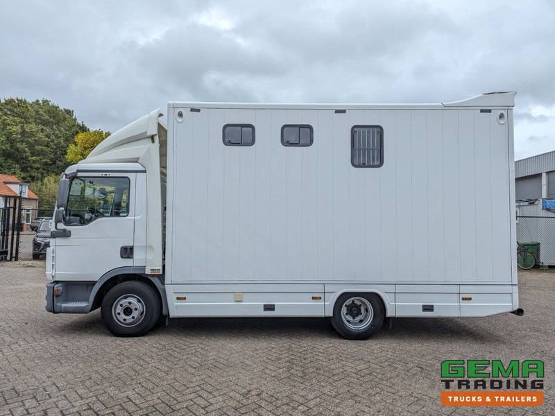 Коневоз MAN TGL 12.250 4x2 Euro5 EEV RC HorseTruck - 2a3 Paards - 135.000km - MARGE (V821): фото 17