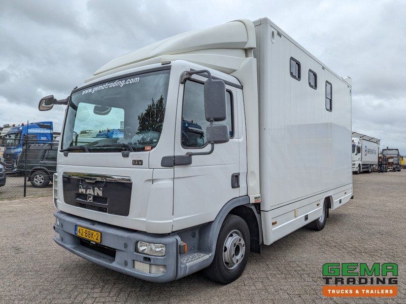 MAN TGL 12.250 4x2 Euro5 EEV RC HorseTruck - 2a3 Paards - 135.000km - MARGE (V821) - Коневоз: фото 2 MAN TGL 12.250 4x2 Euro5 EEV RC HorseTruck - 2a3 Paards - 135.000km - MARGE (V821) - Коневоз: фото 2