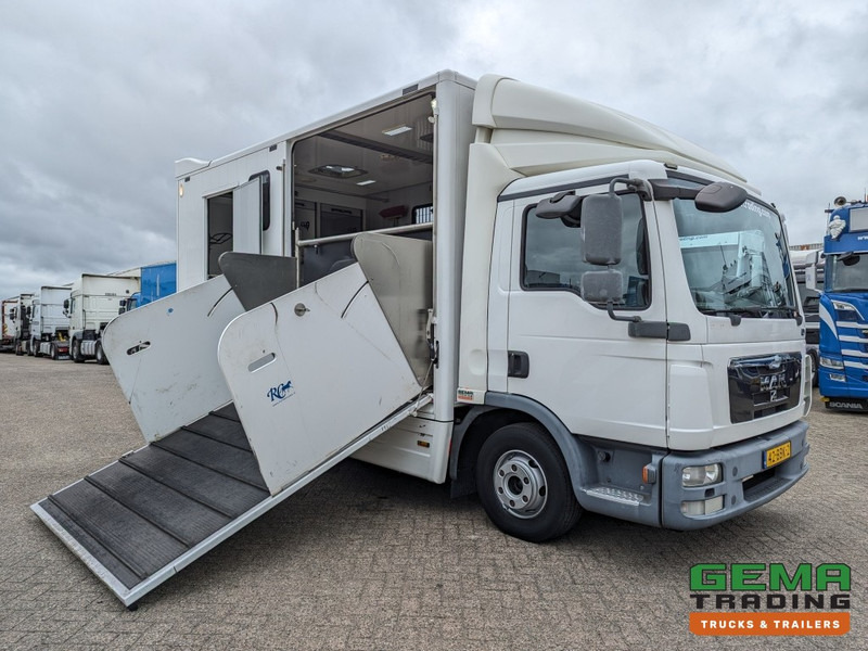 MAN TGL 12.250 4x2 Euro5 EEV RC HorseTruck - 2a3 Paards - 135.000km - MARGE (V821) - Коневоз: фото 3 MAN TGL 12.250 4x2 Euro5 EEV RC HorseTruck - 2a3 Paards - 135.000km - MARGE (V821) - Коневоз: фото 3