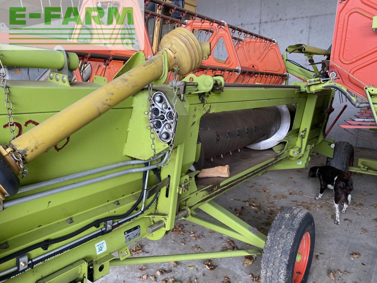CLAAS c 430 - Жниварка зернова: фото 4 CLAAS c 430 - Жниварка зернова: фото 4