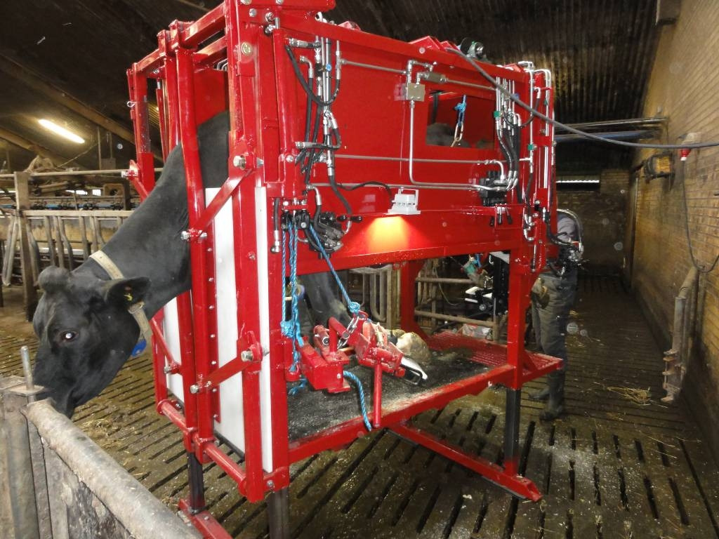 Pomi Klovbeskæringsboks / hoof trimming box - Сільськогосподарська техніка: фото 1 Pomi Klovbeskæringsboks / hoof trimming box - Сільськогосподарська техніка: фото 1