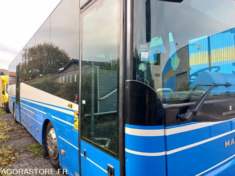 CAR MAN SYTER 919-AMP-51 - Шкільний автобус: фото 3 CAR MAN SYTER 919-AMP-51 - Шкільний автобус: фото 3