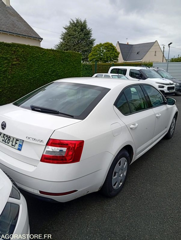 EY-528-LF - Roulant - SKODA OCTAVIA - VP - 421 000 Kms - Легковий автомобіль: фото 4 EY-528-LF - Roulant - SKODA OCTAVIA - VP - 421 000 Kms - Легковий автомобіль: фото 4