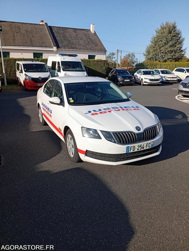 FD-254-FC - Non Roulant - SKODA OCTAVIA - VP - 387 000 Kms - Легковий автомобіль: фото 2 FD-254-FC - Non Roulant - SKODA OCTAVIA - VP - 387 000 Kms - Легковий автомобіль: фото 2