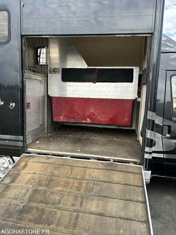 Fourgon FORD - Transport de 2 Chevaux - 2004 - 137 510 KM - Суцільнометалевий фургон: фото 3 Fourgon FORD - Transport de 2 Chevaux - 2004 - 137 510 KM - Суцільнометалевий фургон: фото 3
