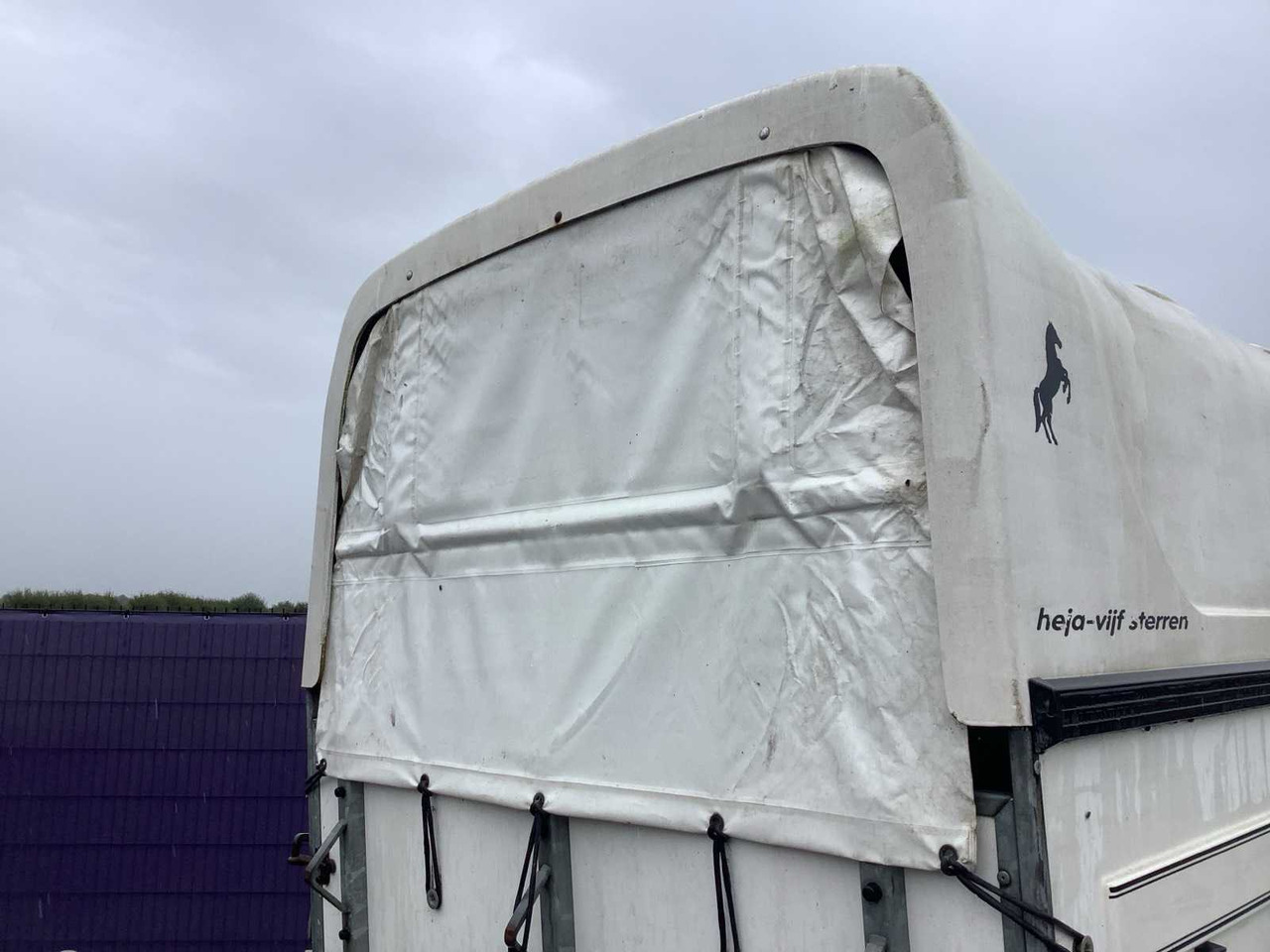 FIVE STARS - 2000 - HORSE TRAILER - Причіп: фото 5 FIVE STARS - 2000 - HORSE TRAILER - Причіп: фото 5