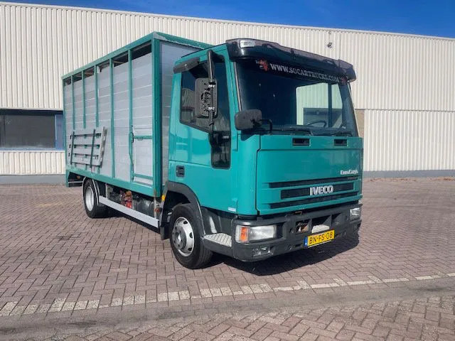 Iveco EuroCargo 65 FULL STEEL / MANUAL-GEAR - Вантажівка шасі: фото 1 Iveco EuroCargo 65 FULL STEEL / MANUAL-GEAR - Вантажівка шасі: фото 1