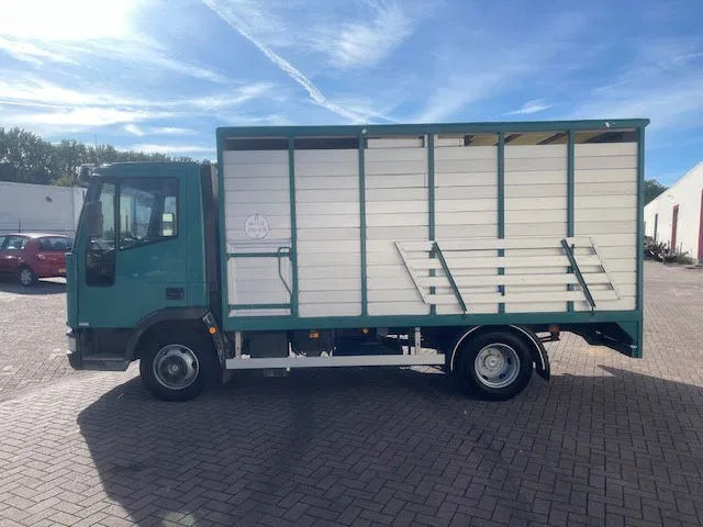 Iveco EuroCargo 65 FULL STEEL / MANUAL-GEAR - Вантажівка шасі: фото 4 Iveco EuroCargo 65 FULL STEEL / MANUAL-GEAR - Вантажівка шасі: фото 4
