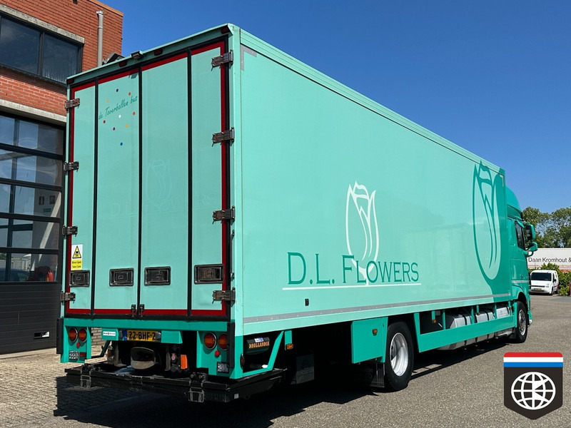 DAF XF 410 FA - Рефрижератор вантажівка: фото 5 DAF XF 410 FA - Рефрижератор вантажівка: фото 5
