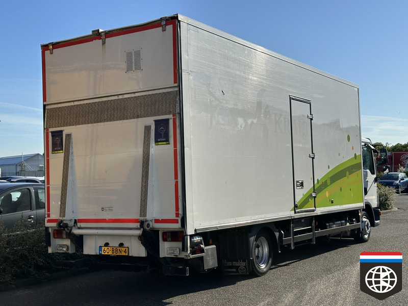 MAN TGL 8 180 - THERMOKING - THEO MULDER FLOWER TRUCK - Рефрижератор вантажівка: фото 5 MAN TGL 8 180 - THERMOKING - THEO MULDER FLOWER TRUCK - Рефрижератор вантажівка: фото 5