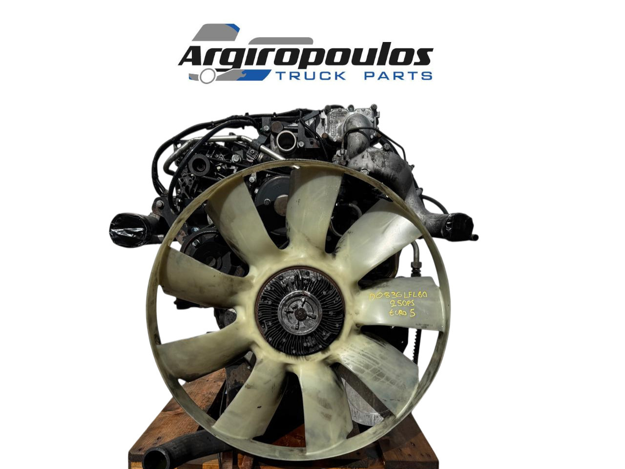 ENGINE MAN TGM D0836LFL60 EURO 5 250PS - Двигун та запчастини: фото 1 ENGINE MAN TGM D0836LFL60 EURO 5 250PS - Двигун та запчастини: фото 1